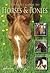 A Pocket Guide to Horses & Ponies