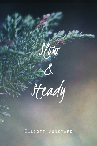 Slow & Steady (Heartlines #2)