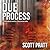 Due Process (Joe Dillard, #9)