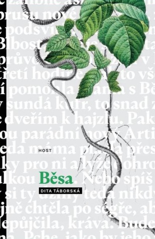 Běsa (Hardcover)