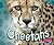 Cheetahs (African Animals)