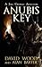 Anubis Key (Jake Crowley #2)