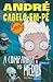 André Cabelo-em-pé: A Companhia dos Medos (Dinkin Dings #1)