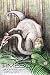 Timeboy Book One: Gondwana