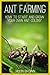 Ant Farming: How to Start a...