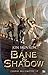 Bane & Shadow by Kelley Skovron