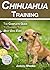 Chihuahua Training: The Com...