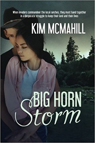 Big Horn Storm