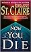Now You Die (Bullet Catcher, #6)