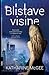 Blistave visine by Katharine McGee