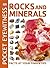 Pocket Eyewitness Rocks & Minerals