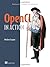 OpenCL in Action: How to Accelerate Graphics and Computations
