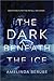 The Dark Beneath the Ice