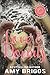 Love & Donuts by Amy Briggs