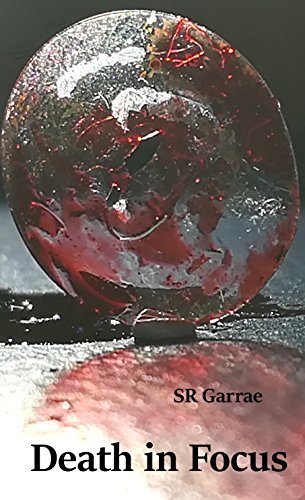 ebook download Death in Focus (Casey and Carval, #1)