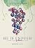 He is Enough: Living in the Fullness of Jesus (A Study in Colossians)