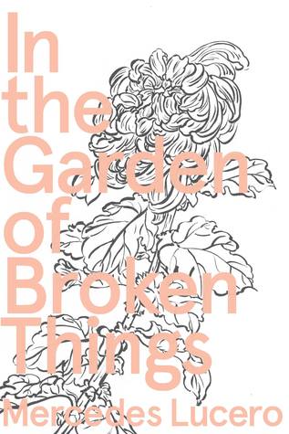 In the Garden of Broken Things (Paperback)