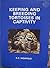 Keeping and Breeding Tortoi...