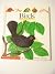Birds (First Discovery Books)