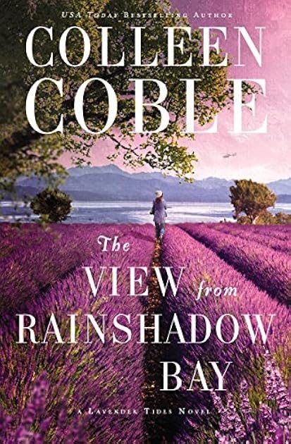 The View from Rainshadow Bay (Lavender Tides, #1)