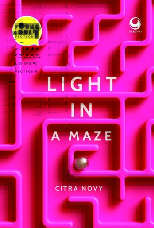 Light in a Maze (Paperback)