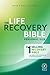 NLT Life Recovery Bible, Second Edition, Personal Size (Softc... by New Living Translation