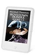 Boystown Bundle: Books 1-3