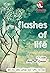 Flashes of Life: 99 Cerita ...