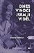 Dnes v noci jsem ji viděl by Drago Jančar