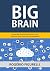 Big Brain: Unindo Big Data ...