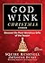 Godwink Christmas Stories