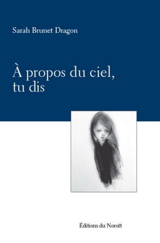 À propos du ciel, tu dis (Paperback)
