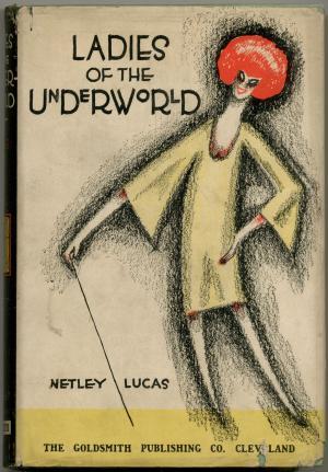 Ladies of the Underworld: The Beautiful, the Damned, and Those Who Get Away with It (Hardcover)