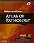 Robbins and Cotran Atlas of Pathology, 3e