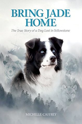 Bring Jade Home: The True Story of a Dog Lost in Yellowstone and the People Who Searched for Her (Paperback)