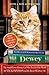 Dewey by Vicki Myron