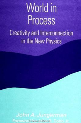 World in Process: Creativity and Interconnection in the New Physics (Constructive Postmod Tht (Dis))