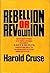 Rebellion or Revolution