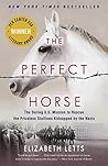 The Perfect Horse...