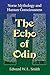 The Echo of Odin: Norse Myt...