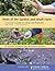 Pests of the Garden and Small Farm by Mary Louise Flint