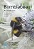Bumblebees An Introduction