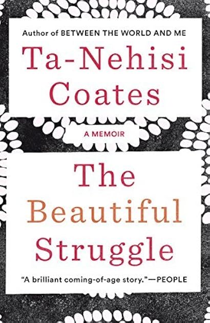 The Beautiful Struggle: A Father, Two Sons, and an Unlikely Road to Manhood