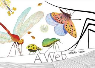 A Web (Hardcover)