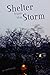 Shelter from the Storm: An ...