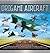 Origami Aircraft (Origami B...