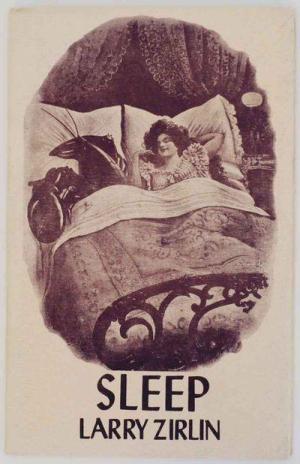Sleep: Prose Poems (Paperback)