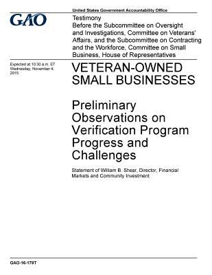 Veteran Owned Small Businesses: Preliminary Observations on Verification Program Progress and Challenges