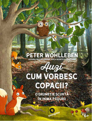Auzi cum vorbesc copacii? O drumeție scurtă în inima pădurii