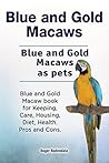 Blue and Gold Mac...